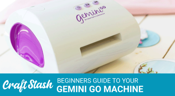 Gemini Go Beginners Guide - Unboxing, Setup, and Demo