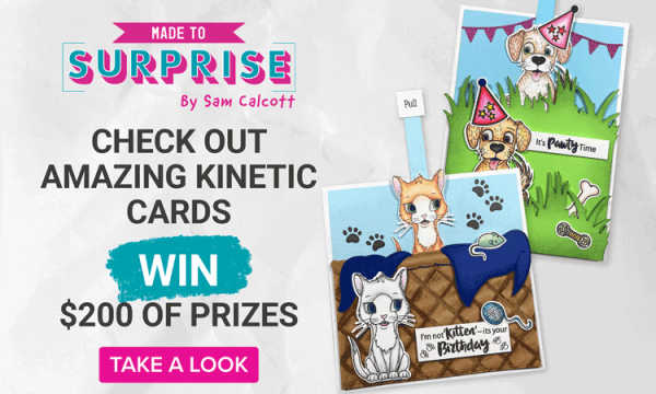 Win a $100 voucher to spend on Made To Surprise