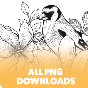 All PNG Downloads